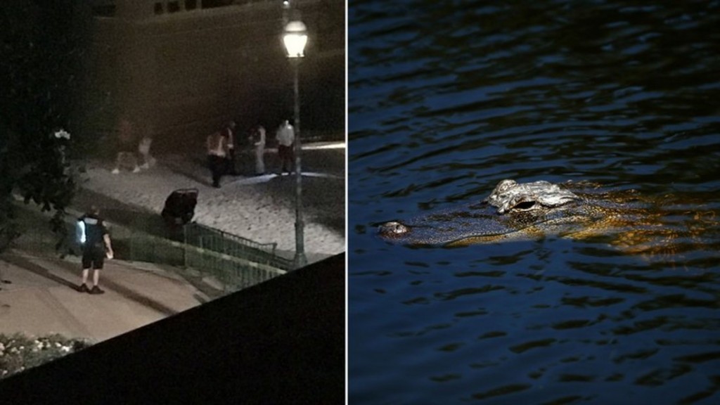 Trágico! Cocodrilo devora a pequeño de 2 años en Disney World.
